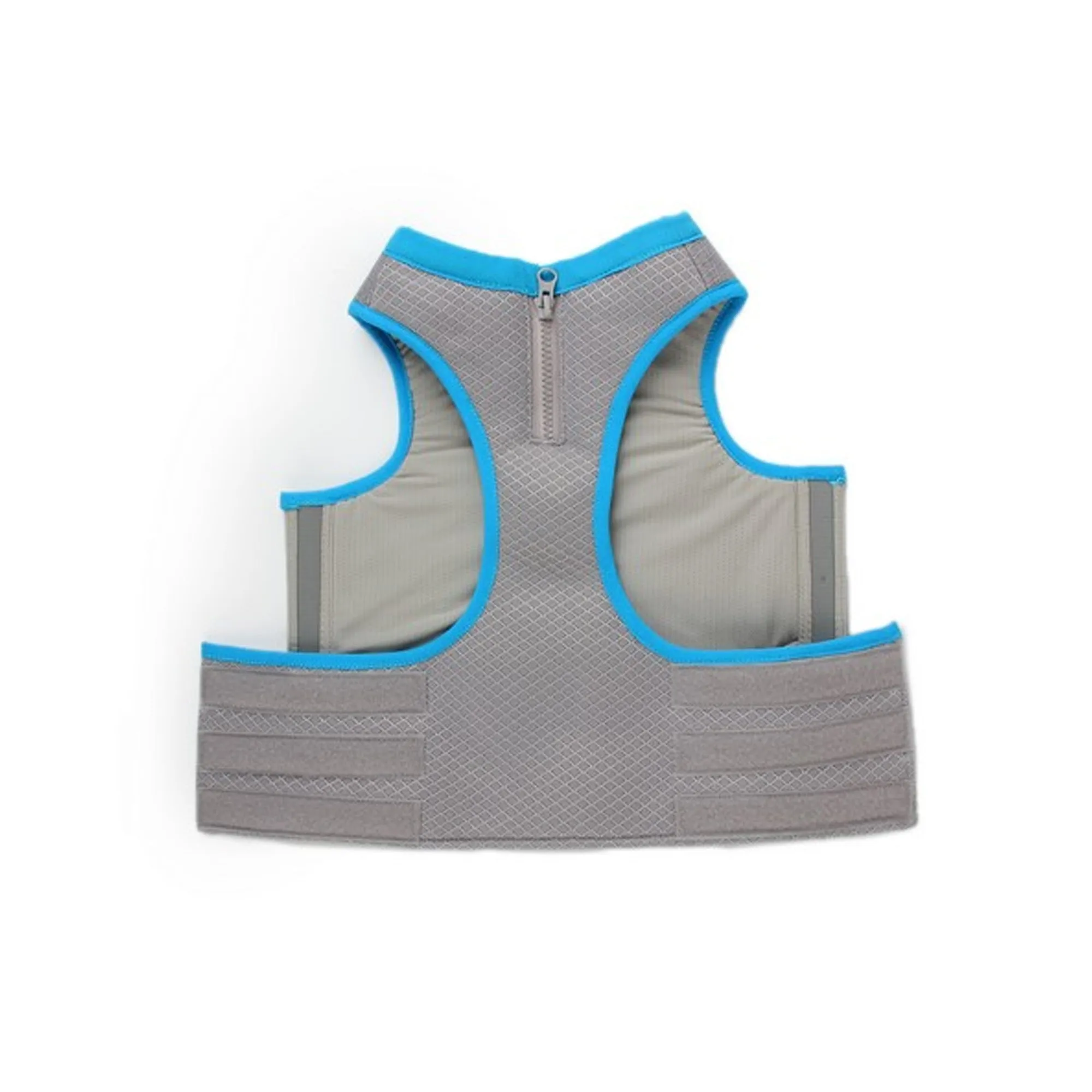 All For Paws Chill Out Cooling Vest
