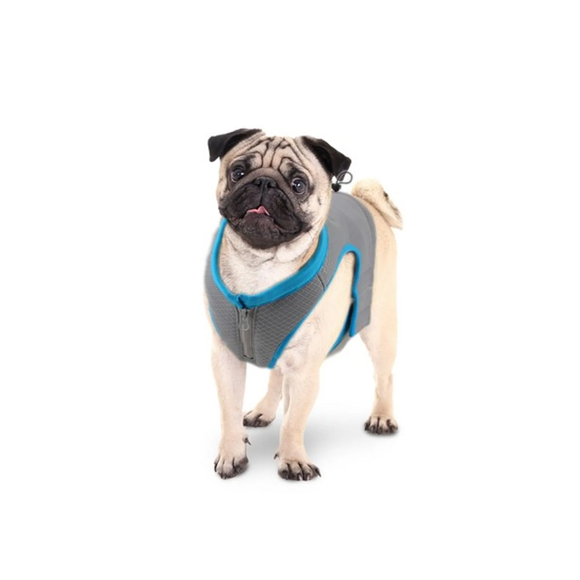 All For Paws Chill Out Cooling Vest